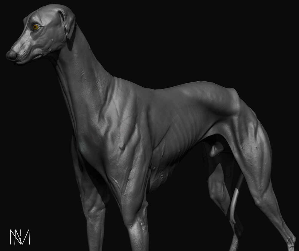 D_Render_11