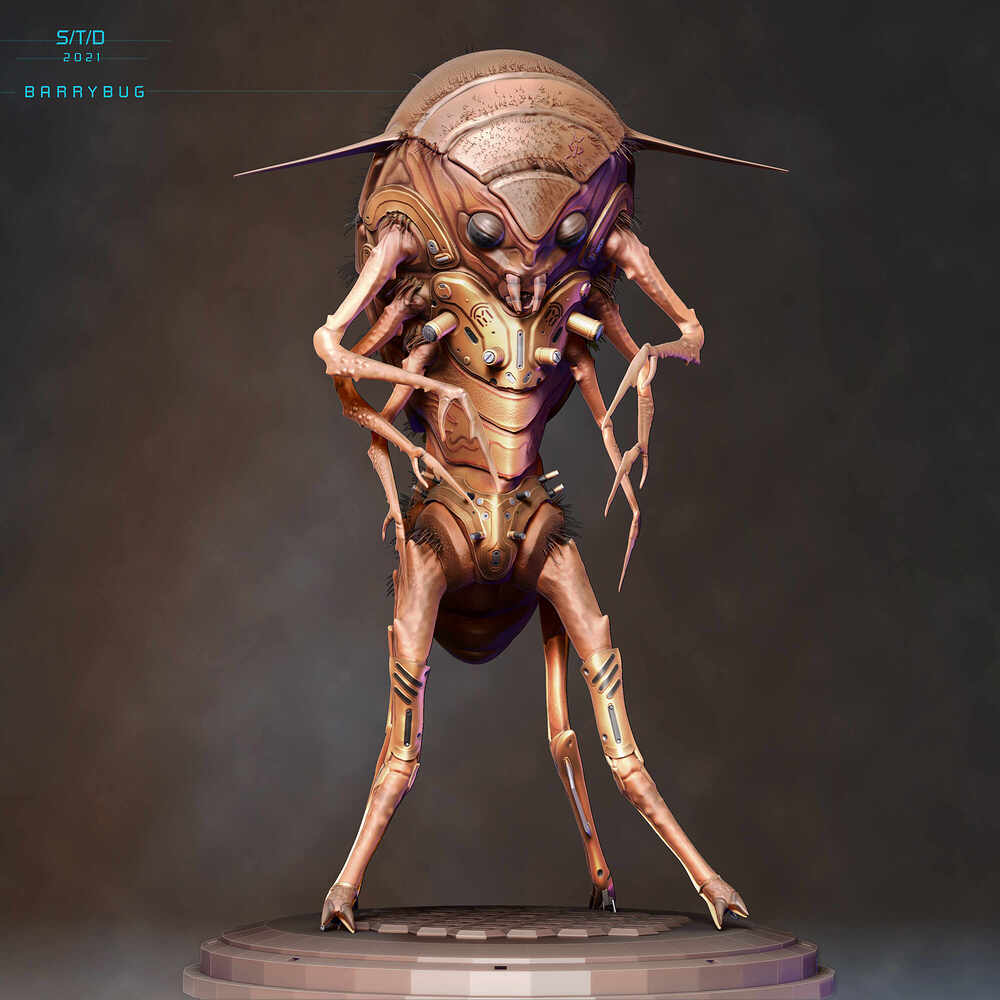 Barrybug3