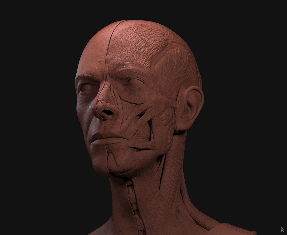 bowie_render2