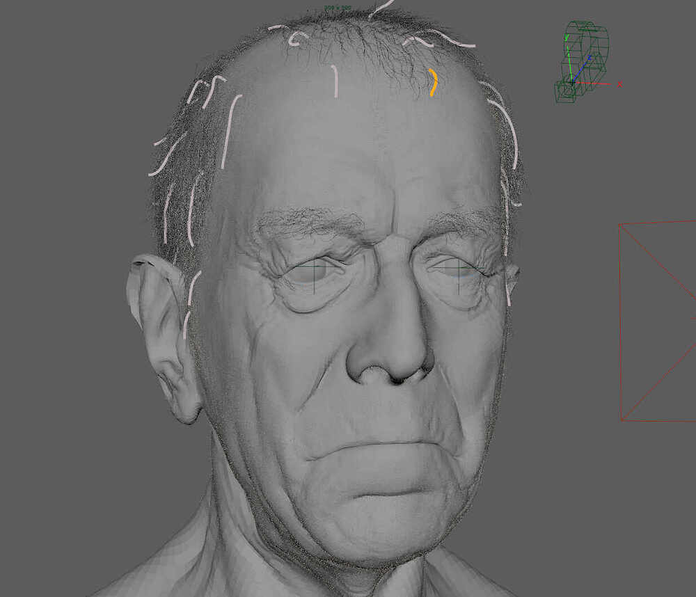max_wireframe