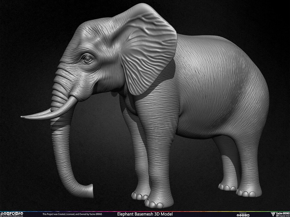 Elephant Basemesh 3D Model Animal Sculpted by Yacine BRINIS Set 015