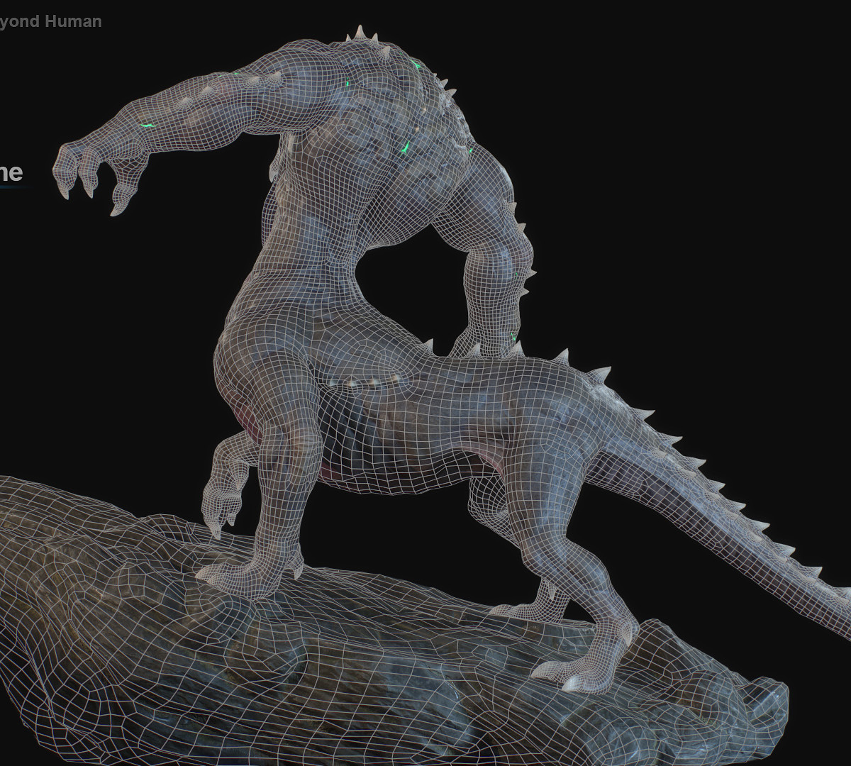 WireFrame2 copy.jpg