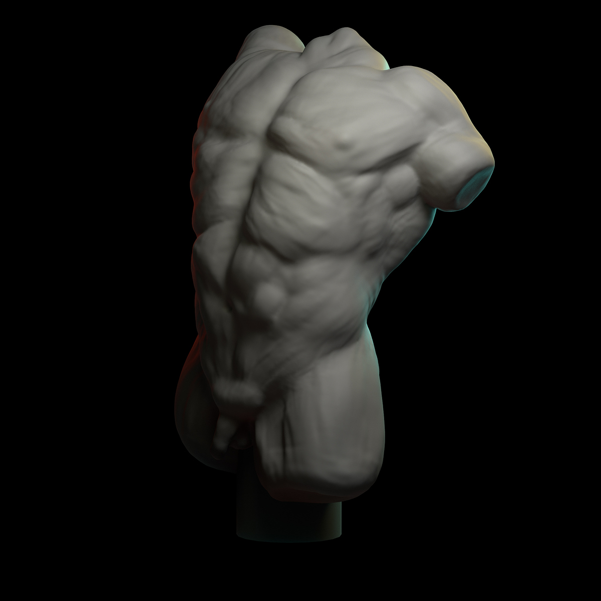 torso