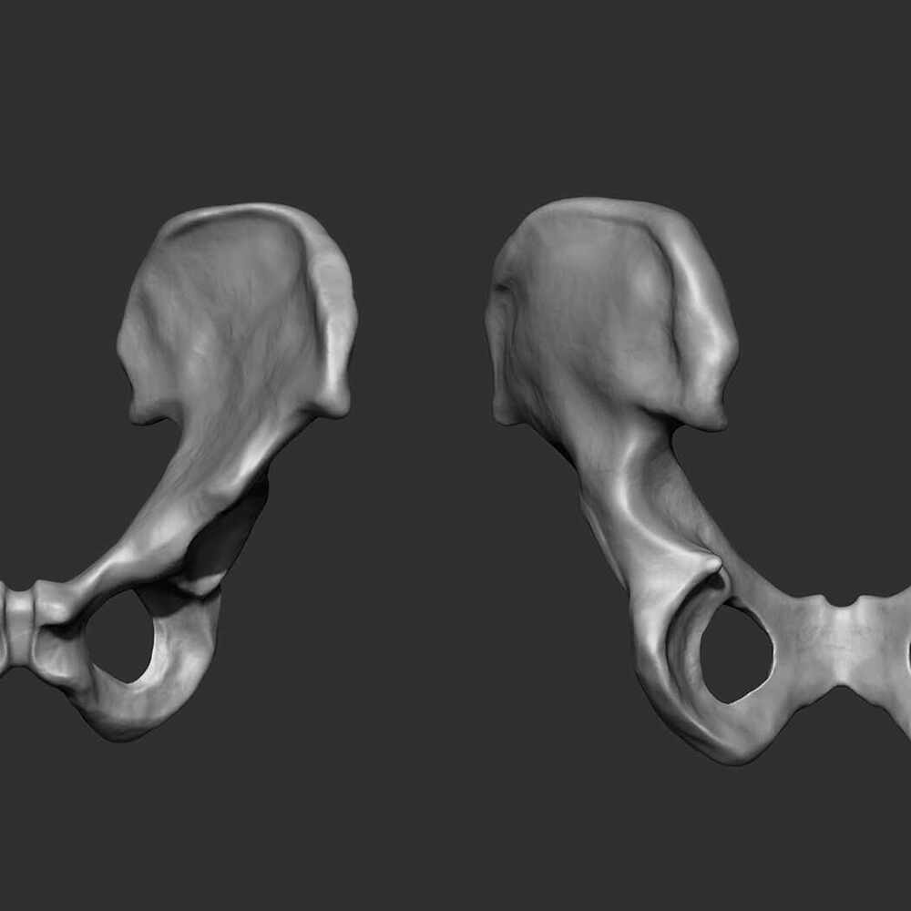 sacral