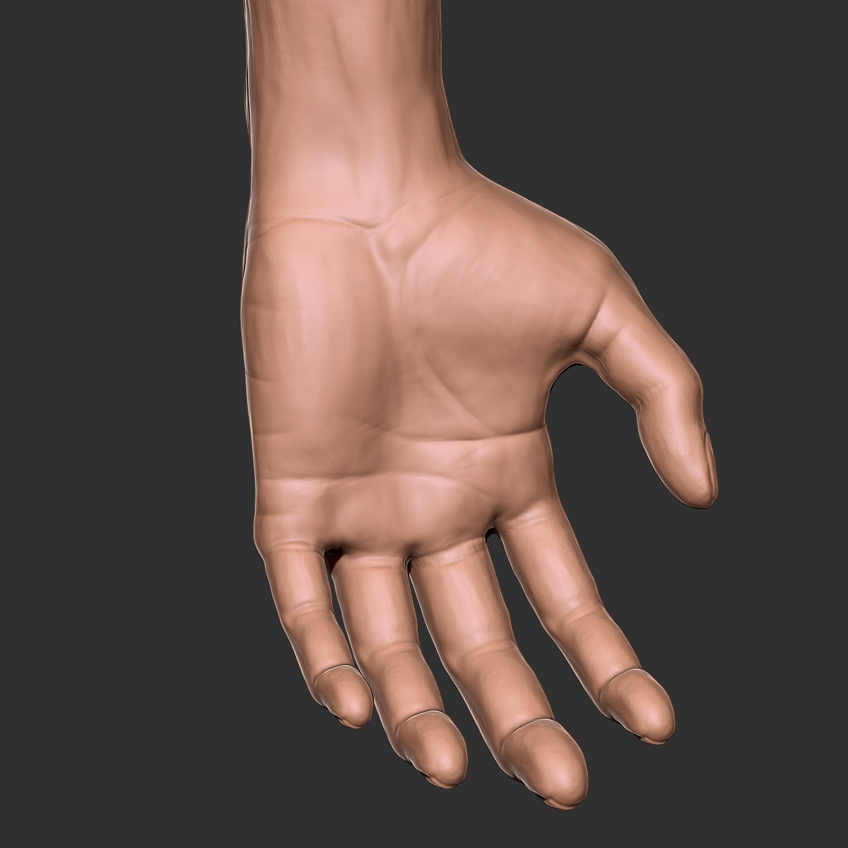 hand2.jpg