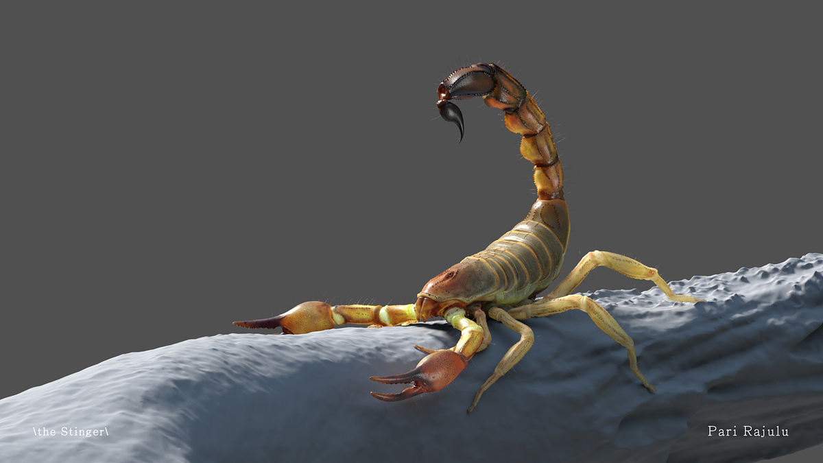 Scorpion_Texture