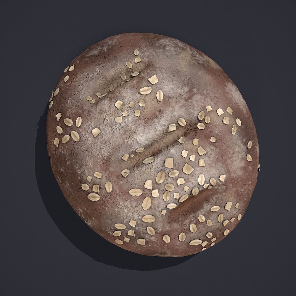 medieval-style-oat-covered-stone-baked-bread-3d-model-low-poly-obj-fbx (6)