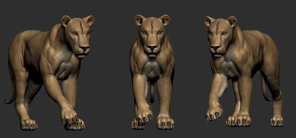 ZBrush Document 4