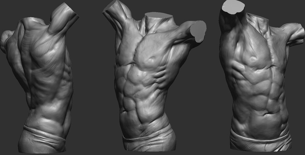 Week1_Torso