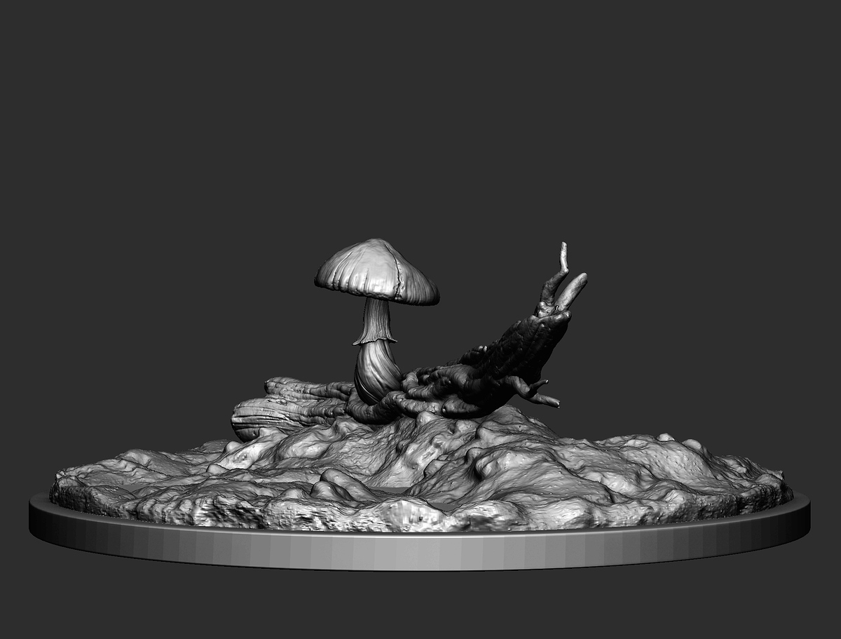 mushroom_1007