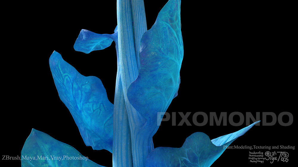 ShowreelLVP_00215
