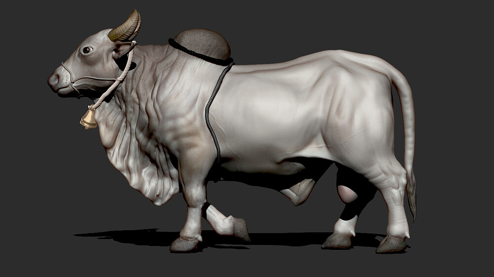 srinivas-reddy-bull-01