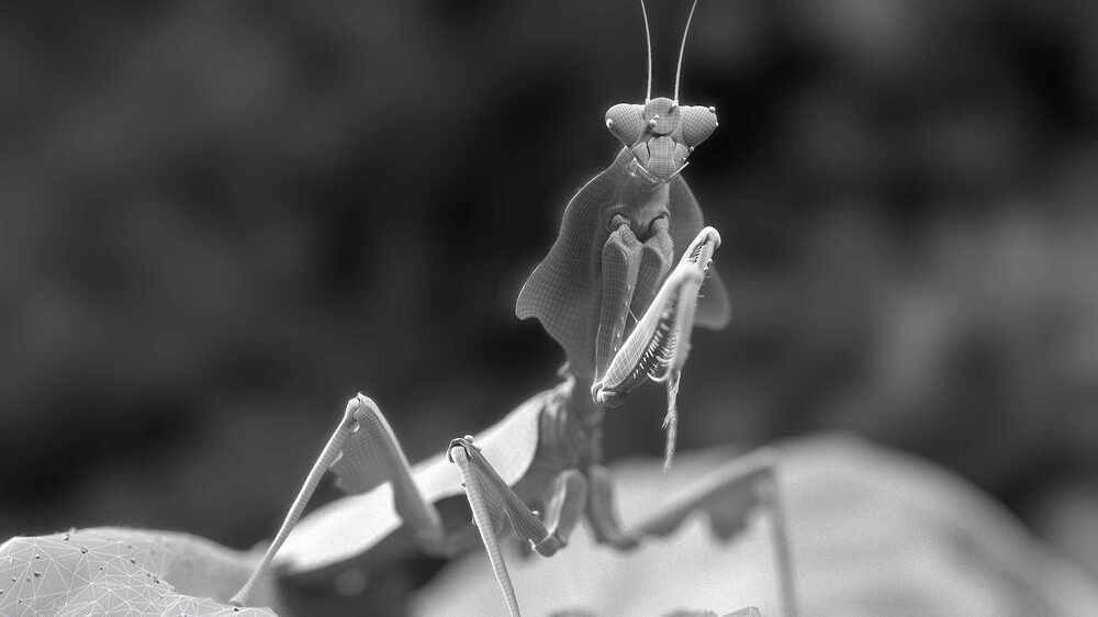 leaf_mantis_art_render_v05_comp_clay