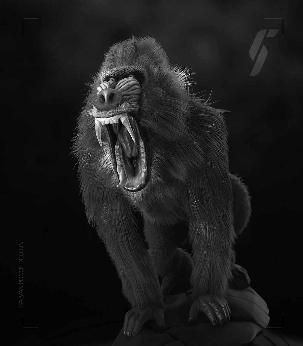 mandril_001_bw_2023@0.25x