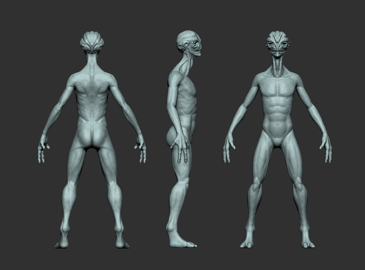 aliensmuggler_anatomy