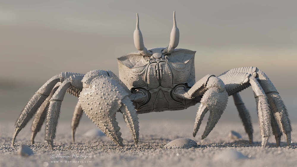 Closeup_004