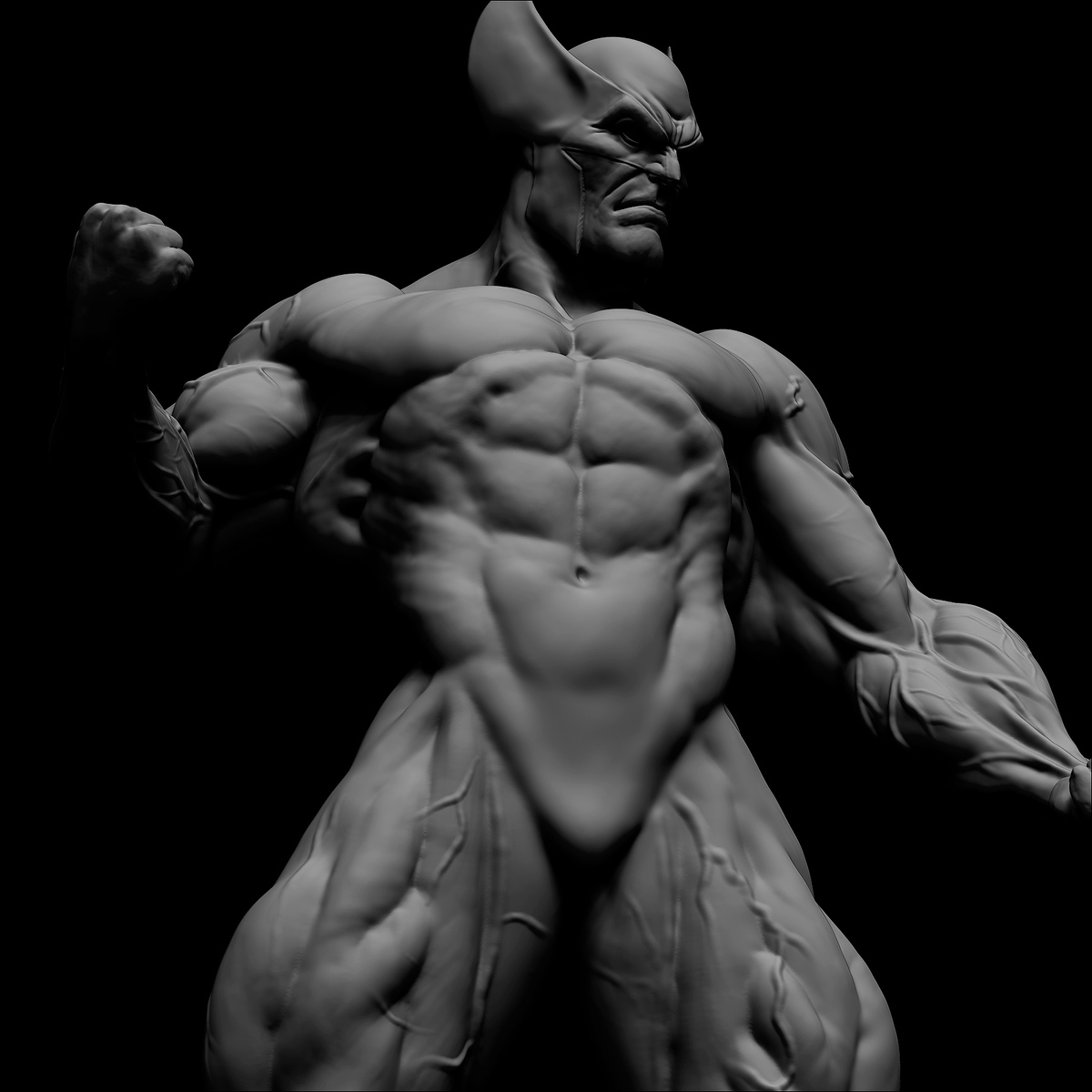 Anatomía 5
