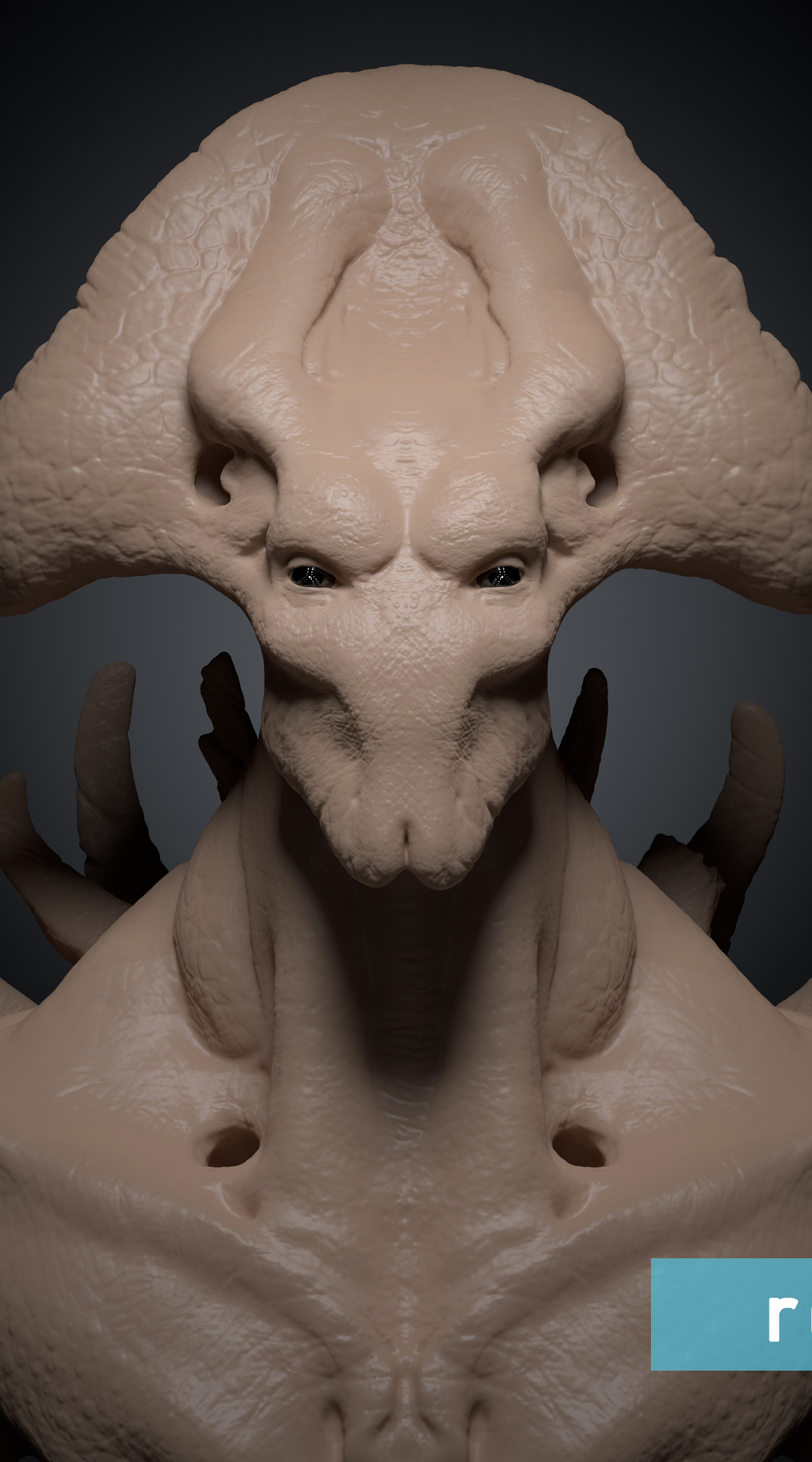 dakaran-05.jpg
