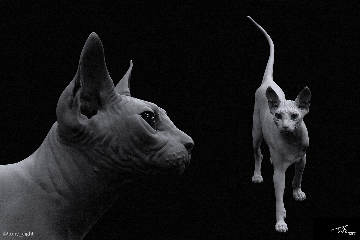0sphynx_render_05