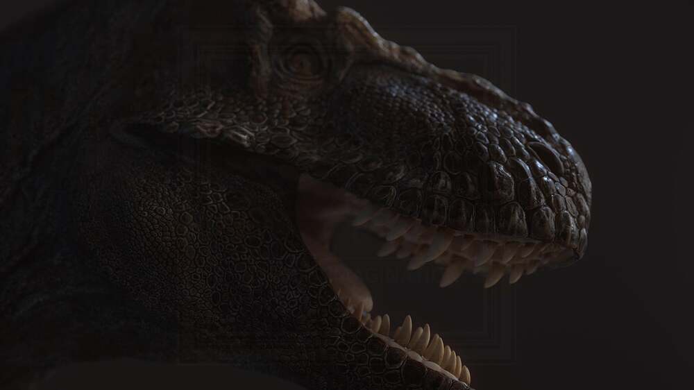 head2