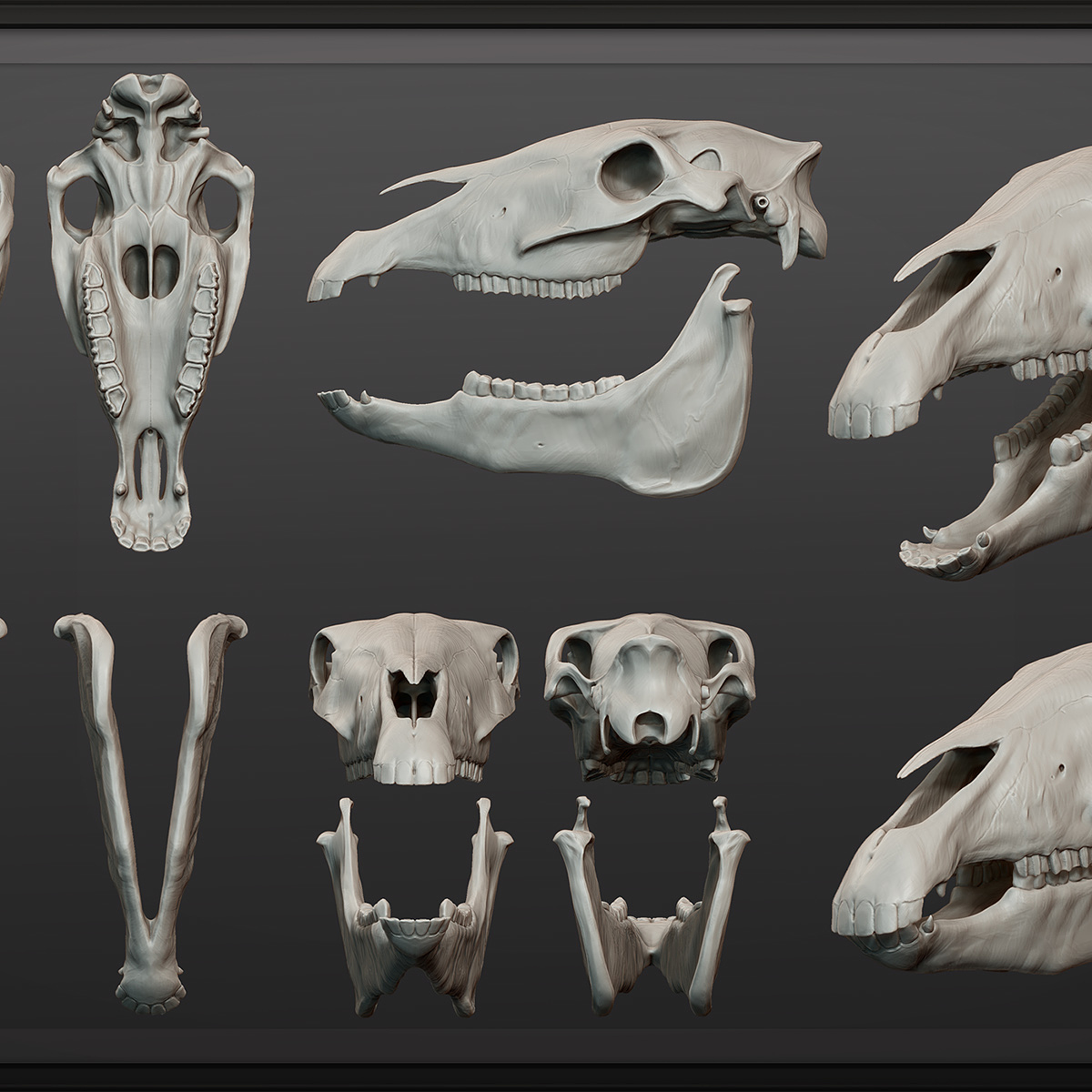 FrameMaker_HorseSkulls-1500px copy.jpg