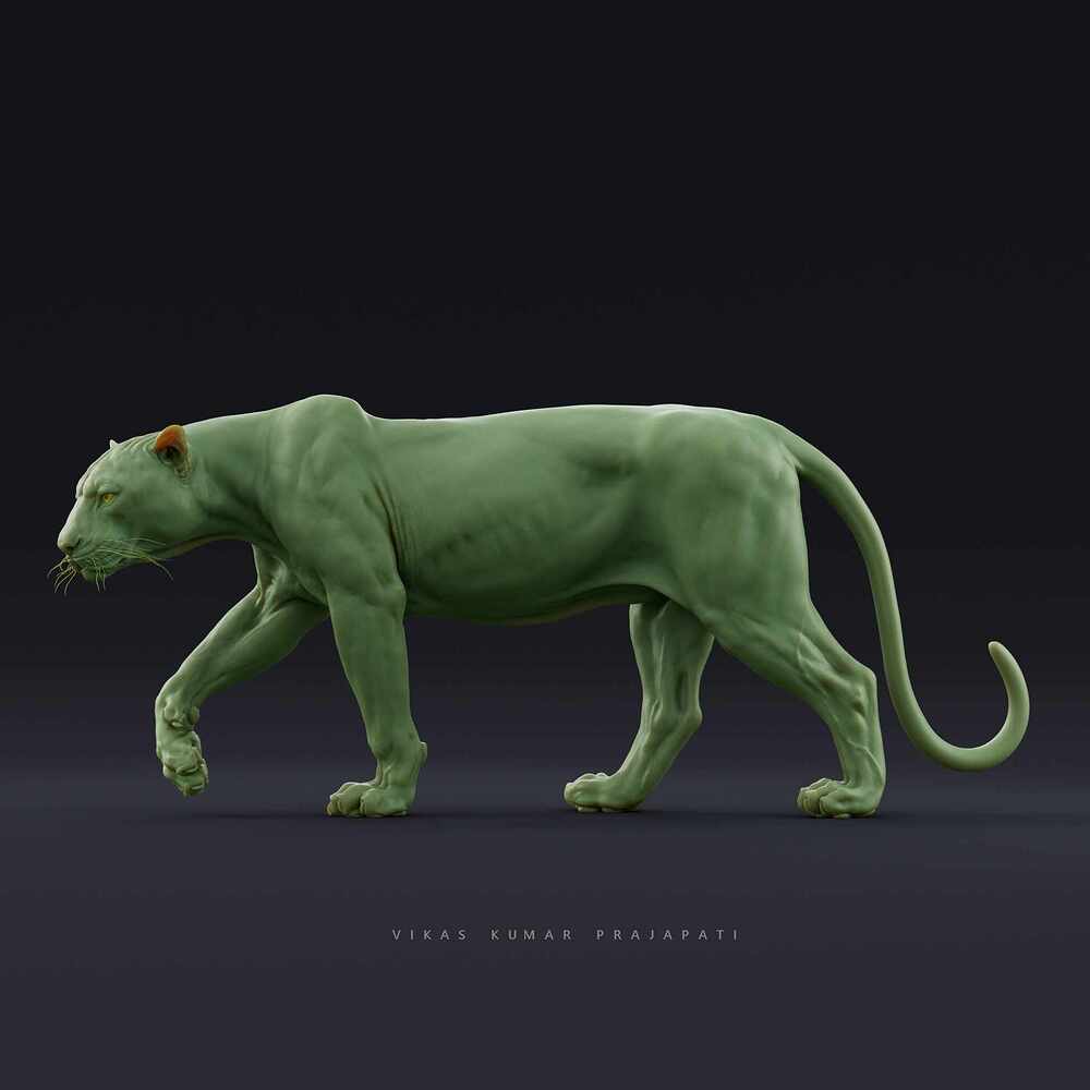 Leopard_1001