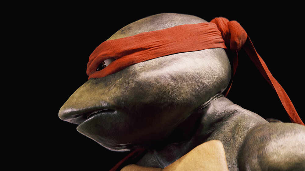 Raphael_CU_03_v003