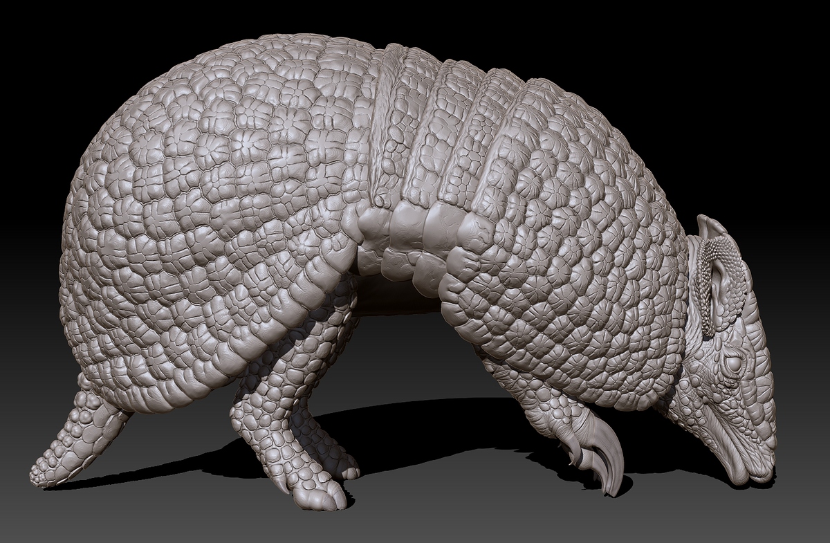 armadillo_side