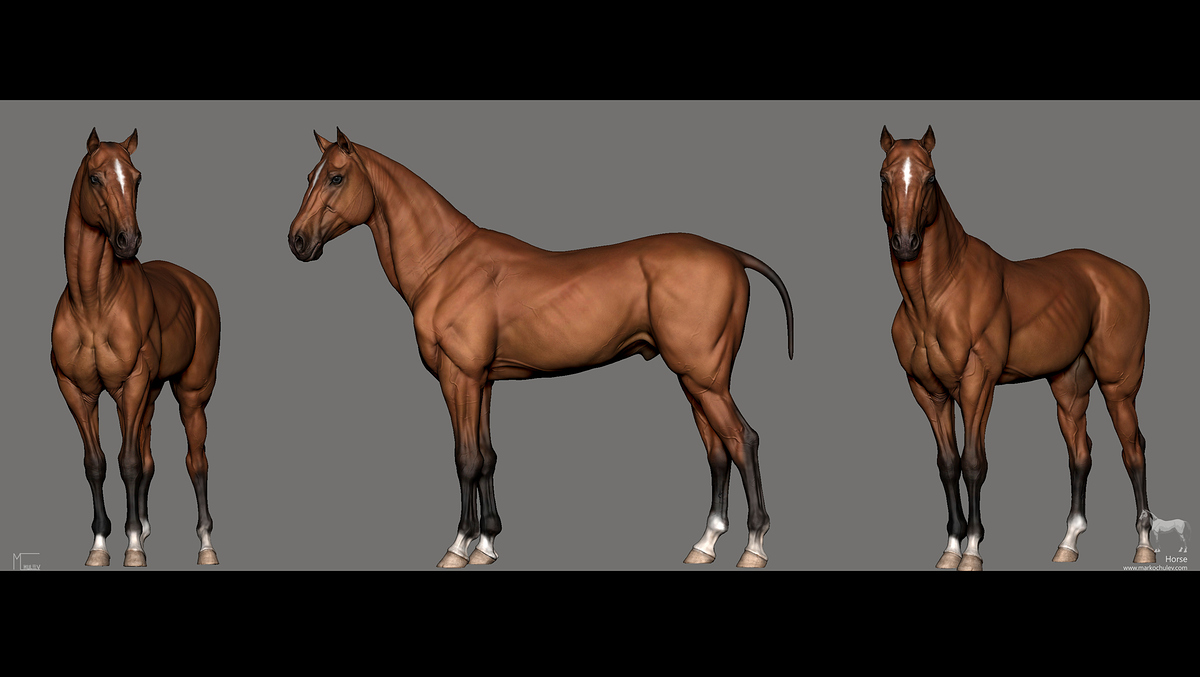 Zbrush.Snapshots.v1.1