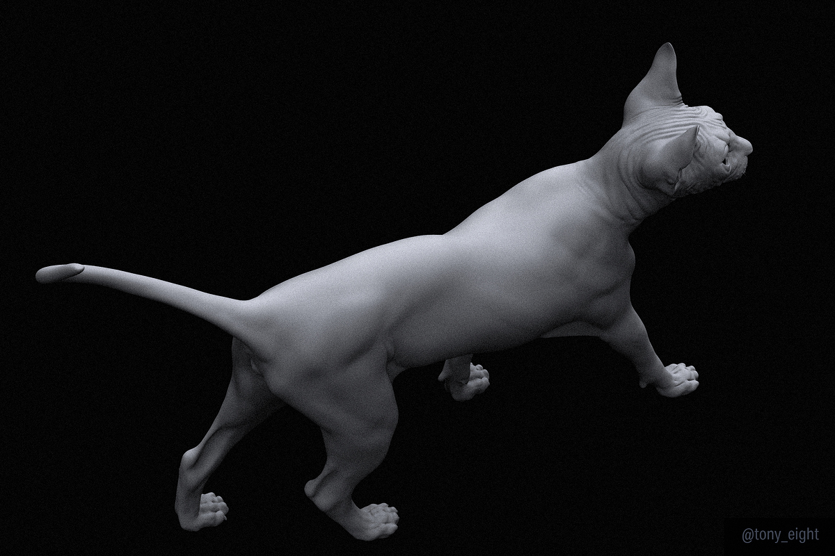 sphynx_render_06