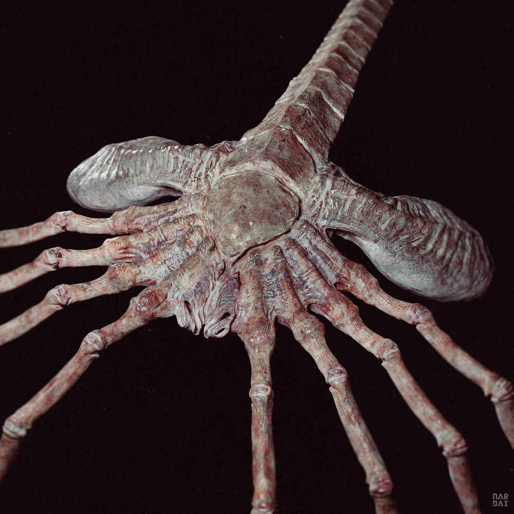 Facehugger 3