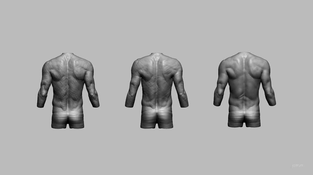 jonnym_2022_dfs_w2_0_male_back_breakdown