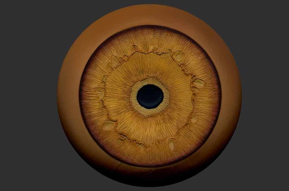 ZBrushDocument10