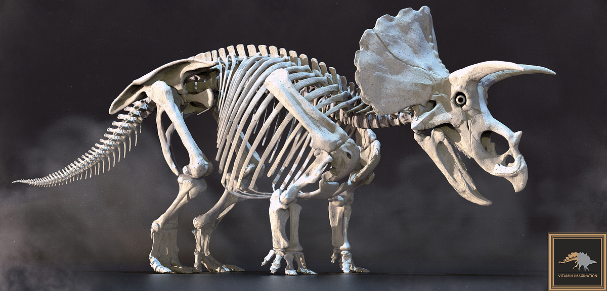trice standard skeleton