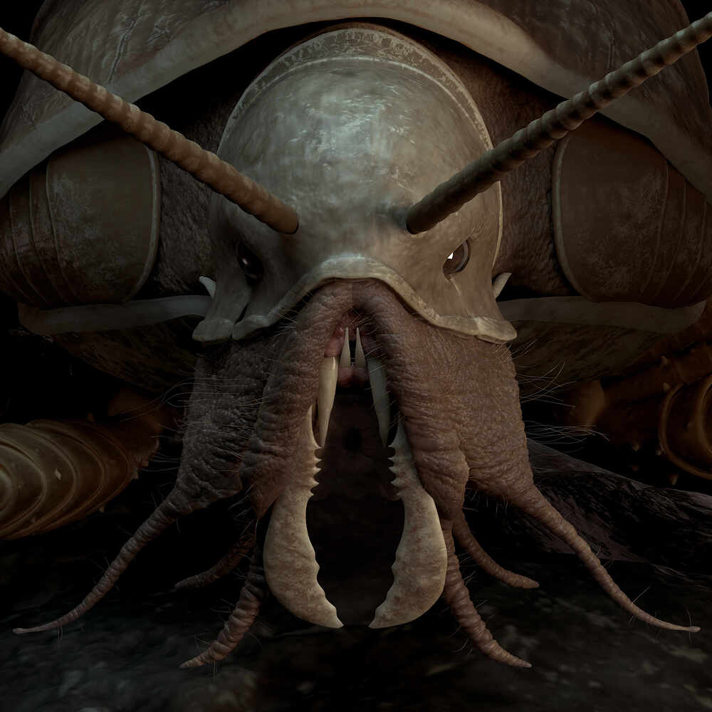 Creature-Face