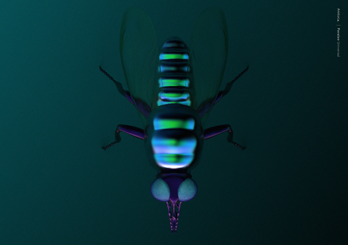 mosca3