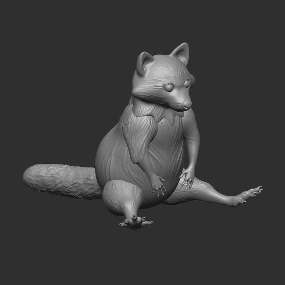 My Raccon