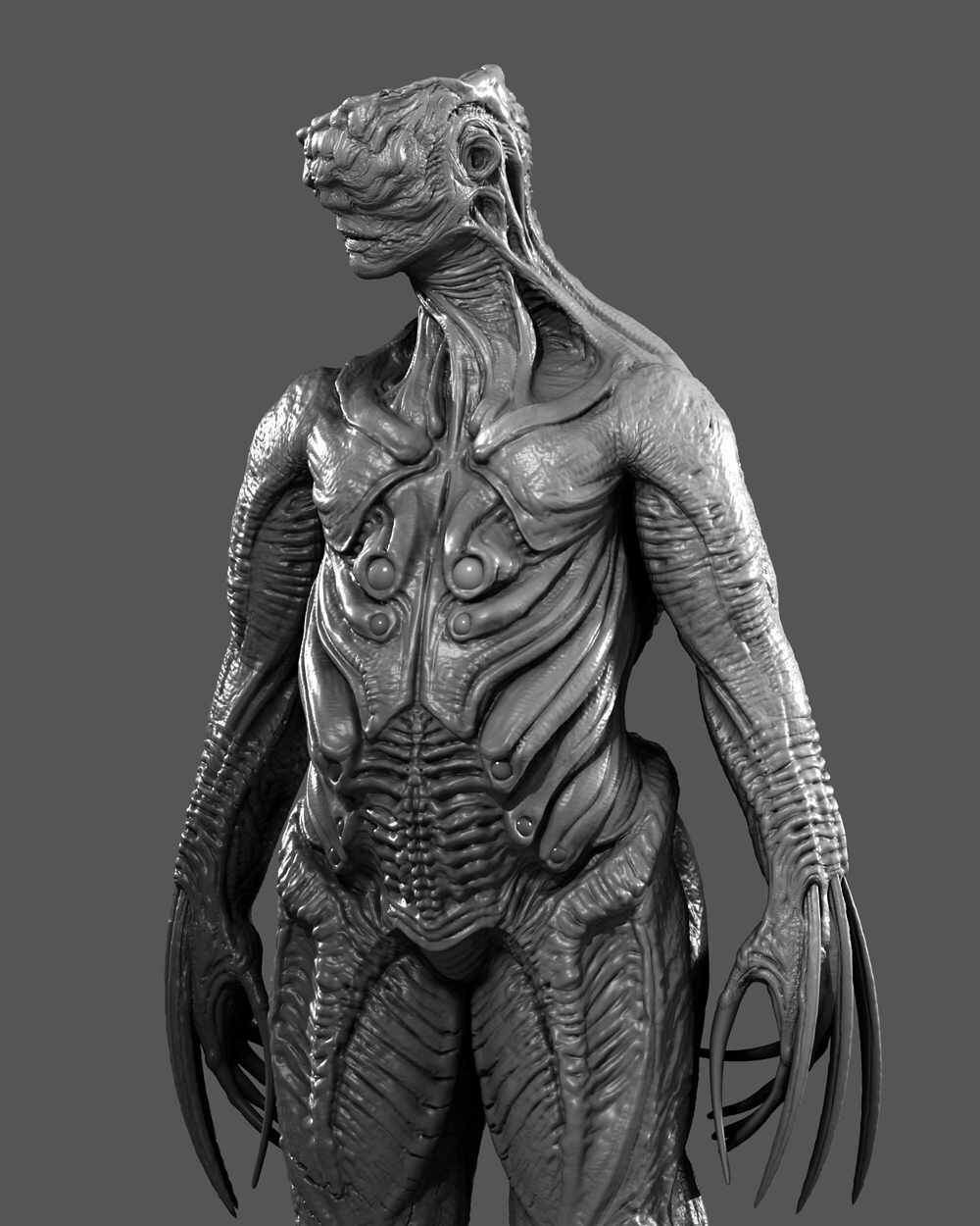 bwclay4