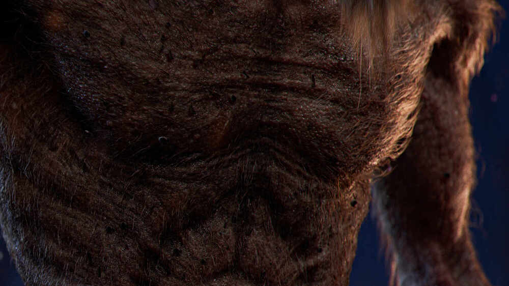 closeup_005