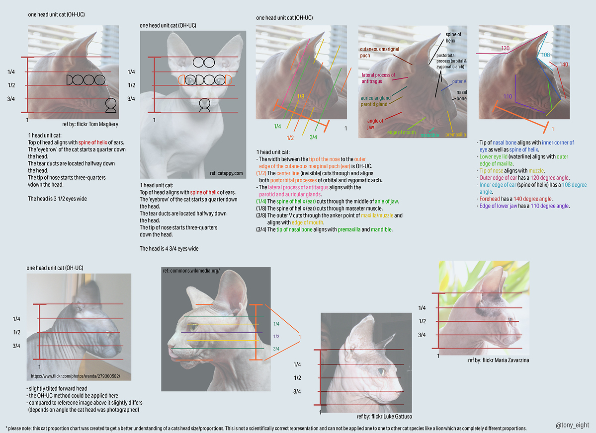 sphinx_measurment_chart_02