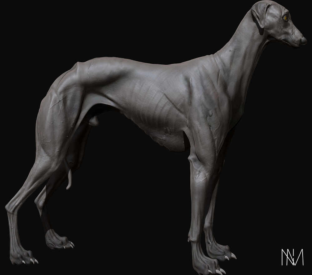 D_Render_09