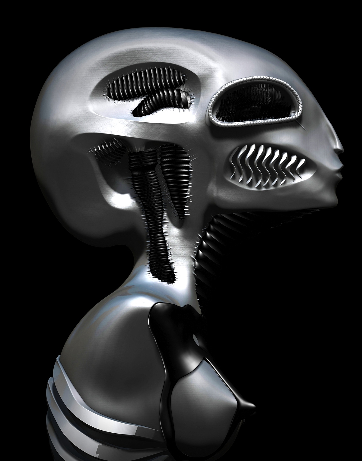 Torso right CC.jpg