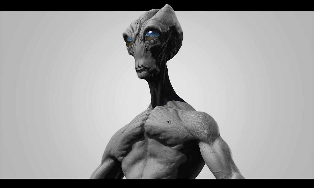 Base Render _5