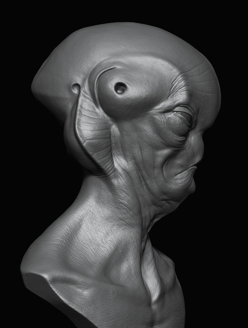 Z_71