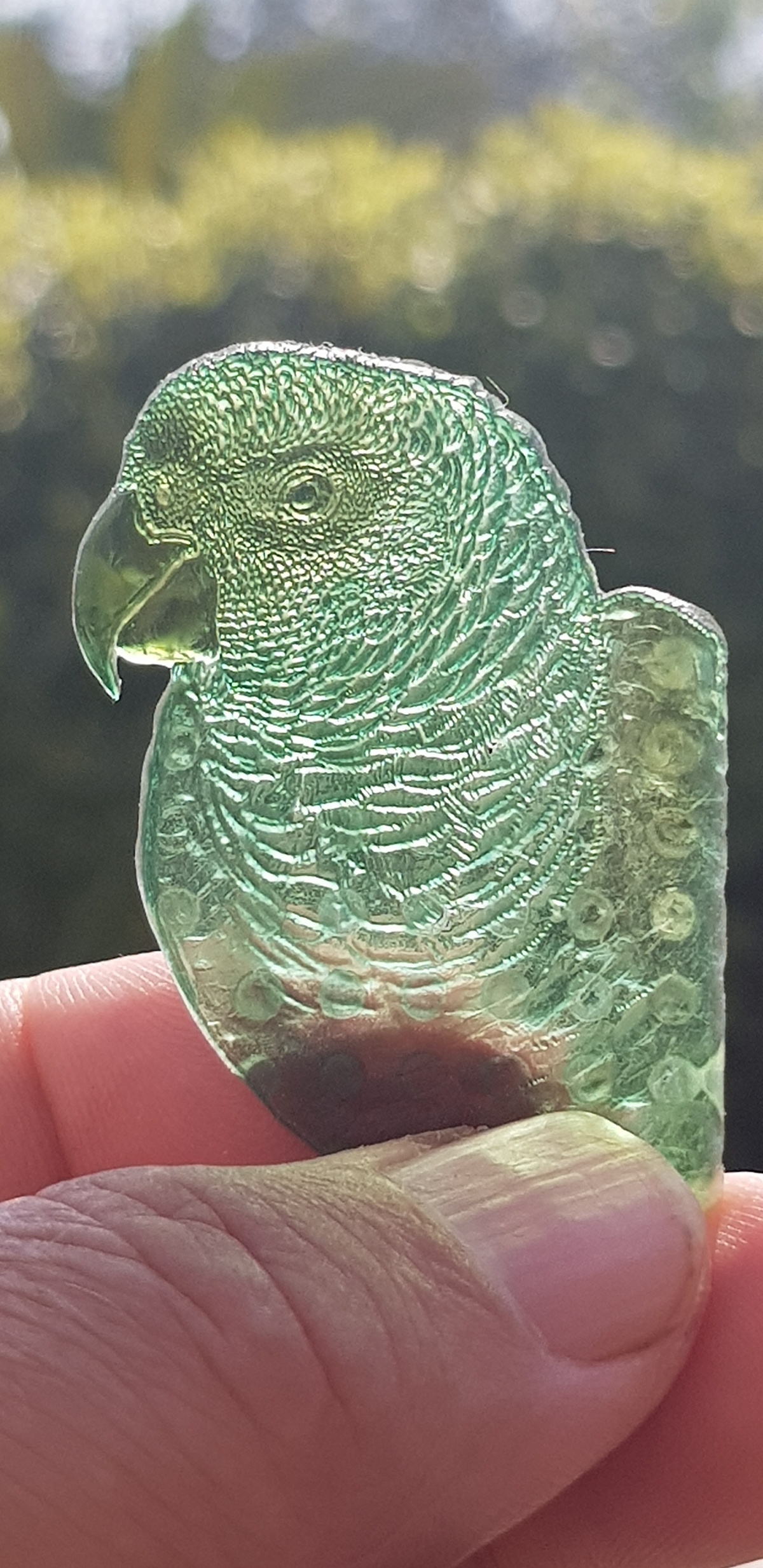 Parrot1