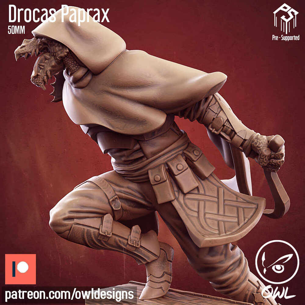 Owl_Drocas_Paprax_50mm_08