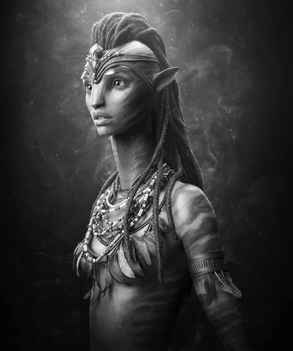 NA VI 2_Comped_Gray