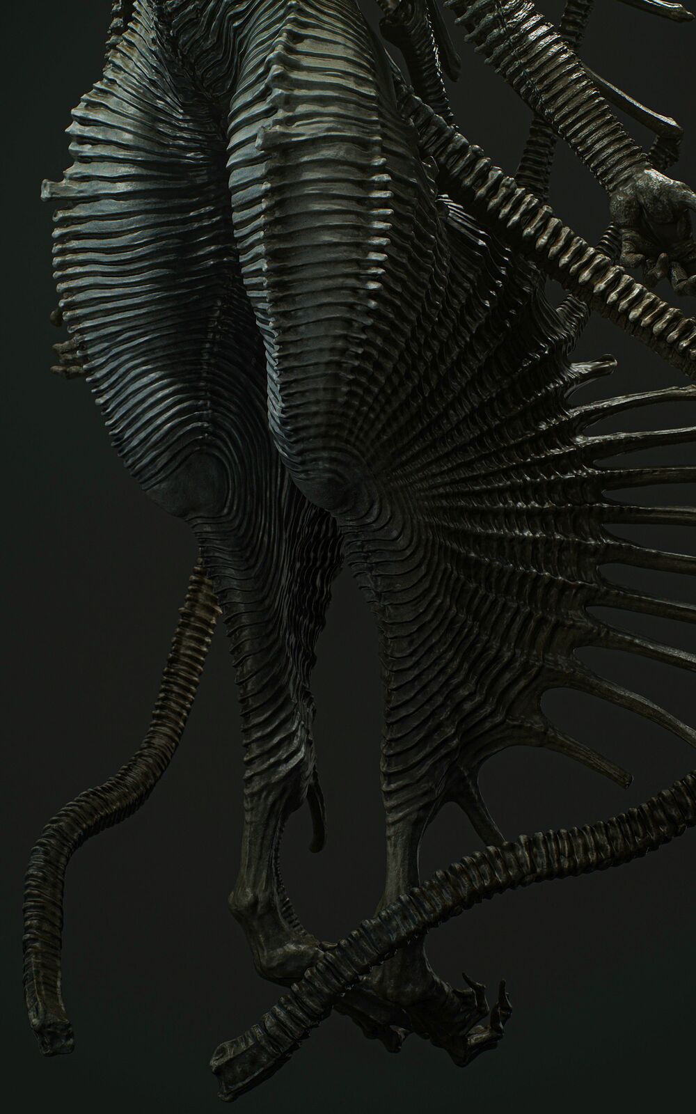 Partially2_Cold_Symmetry_0010