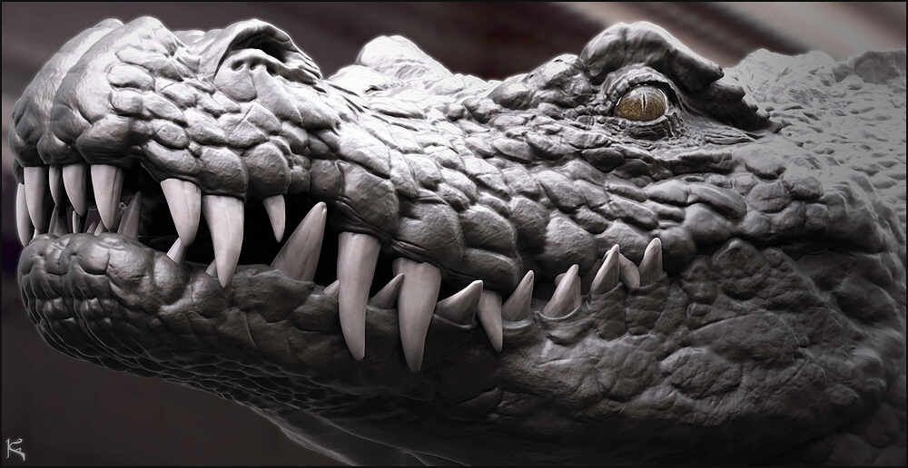 Crocodile1001_02.1001