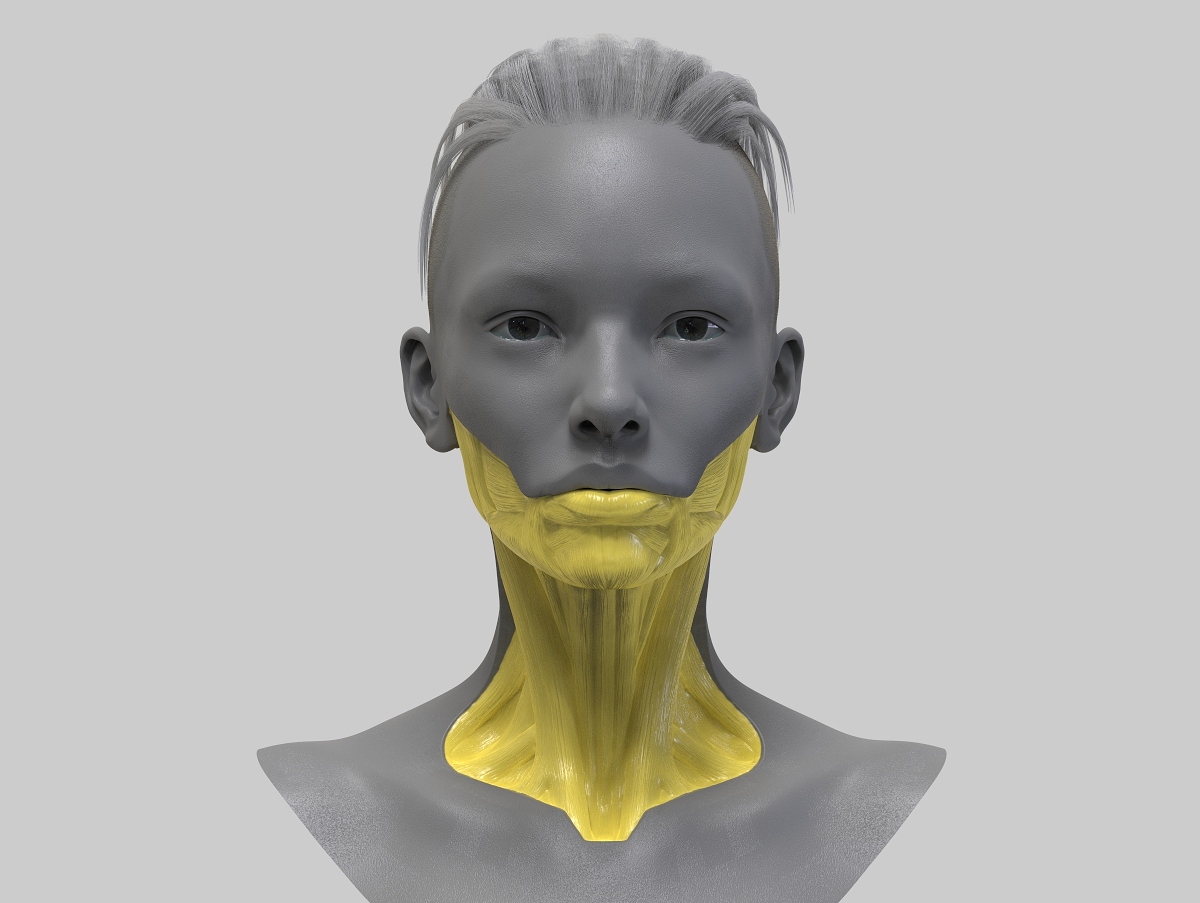 DY_AugFace_01.31.jpg